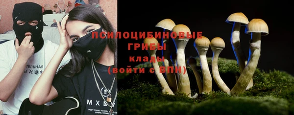 соль ск Гусев