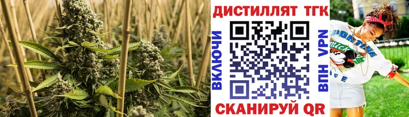 Купить закладки  Полевской  Дистиллят ТГК Wax 