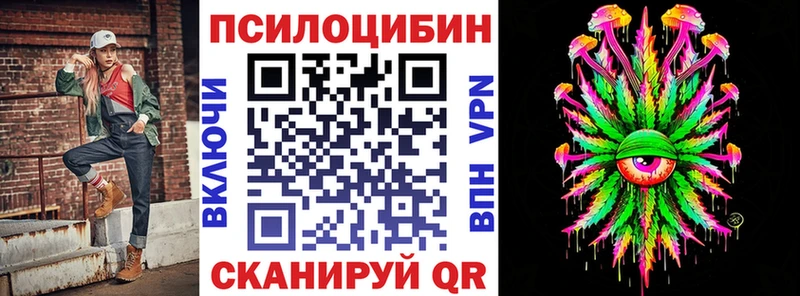 Псилоцибиновые грибы Cubensis Полевской