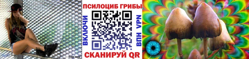 Купить где  Полевской  Псилоцибиновые грибы Magic Shrooms 